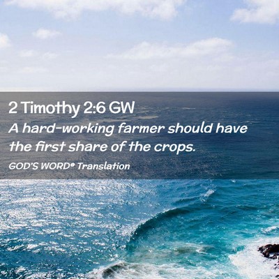 Picture 02 - 2 Timothy 2:6 GW - A hard-working farmer should have the first share - Bible Verse Picture