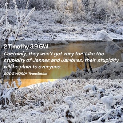 Picture 02 - 2 Timothy 3:9 GW - Certainly, they won’t get very far. Like the - Bible Verse Picture