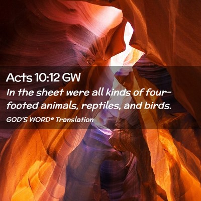 Picture 02 - Acts 10:12 GW - In the sheet were all kinds of four-footed - Bible Verse Picture