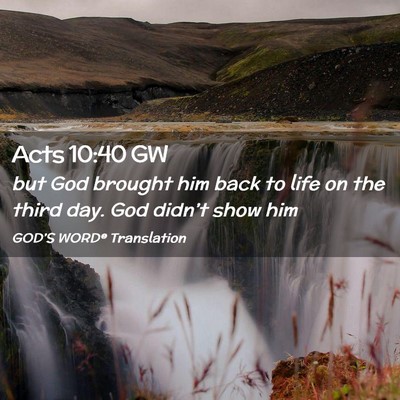 Picture 02 - Acts 10:40 GW - but God brought him back to life on the third - Bible Verse Picture