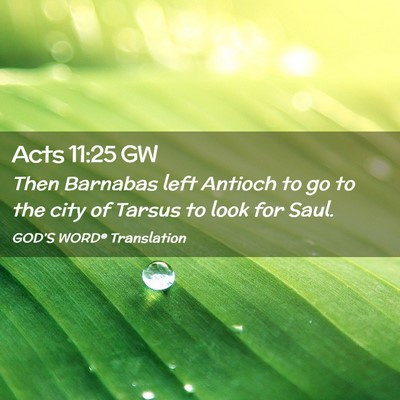 Picture 02 - Acts 11:25 GW - Then Barnabas left Antioch to go to the city of - Bible Verse Picture