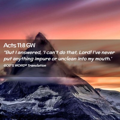 Picture 02 - Acts 11:8 GW - “But I answered, ‘I can’t do that, Lord! - Bible Verse Picture