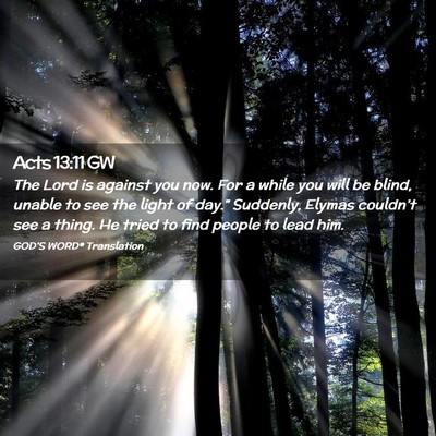 Picture 02 - Acts 13:11 GW - The Lord is against you now. For a while you will - Bible Verse Picture