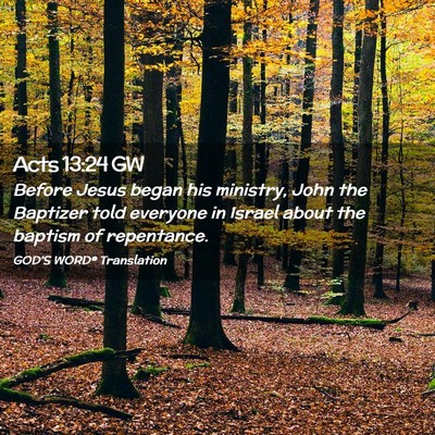 Picture 02 - Acts 13:24 GW - Before Jesus began his ministry, John the - Bible Verse Picture