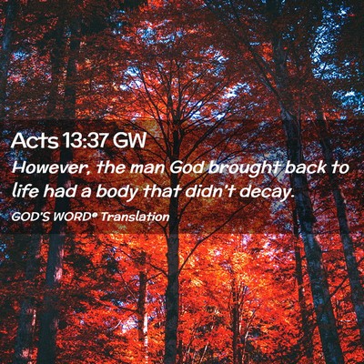 Picture 02 - Acts 13:37 GW - However, the man God brought back to life had a - Bible Verse Picture