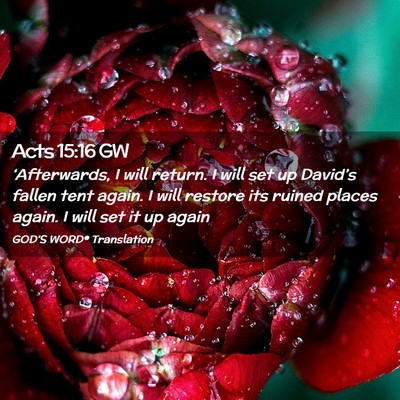 Picture 02 - Acts 15:16 GW - ‘Afterwards, I will return. I will set up - Bible Verse Picture
