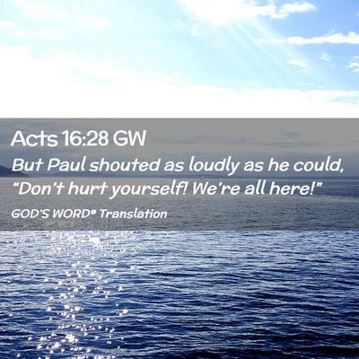 Picture 02 - Acts 16:28 GW - But Paul shouted as loudly as he could, - Bible Verse Picture