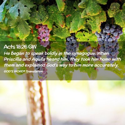 Picture 02 - Acts 18:26 GW - He began to speak boldly in the synagogue. When - Bible Verse Picture