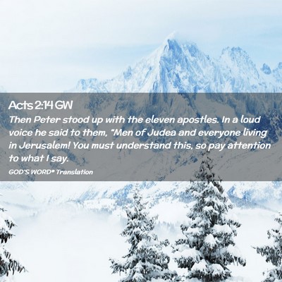 Picture 02 - Acts 2:14 GW - Then Peter stood up with the eleven apostles. In - Bible Verse Picture