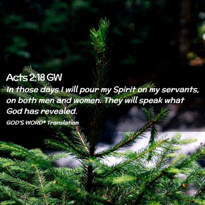 Picture 02 - Acts 2:18 GW - In those days I will pour my Spirit on my - Bible Verse Picture