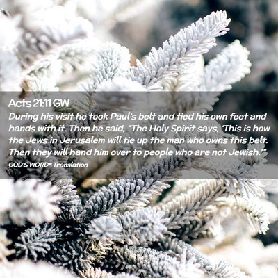 Picture 02 - Acts 21:11 GW - During his visit he took Paul’s belt and tied - Bible Verse Picture