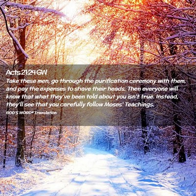 Picture 02 - Acts 21:24 GW - Take these men, go through the purification - Bible Verse Picture