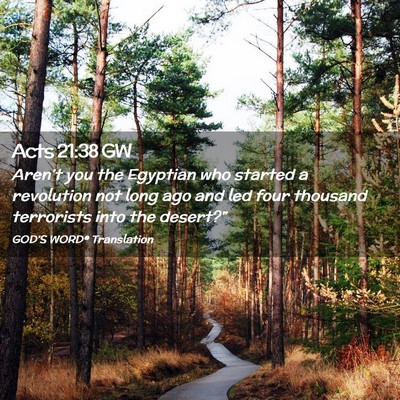 Picture 02 - Acts 21:38 GW - Aren’t you the Egyptian who started a - Bible Verse Picture