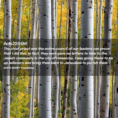 Picture 02 - Acts 22:5 GW - The chief priest and the entire council of our - Bible Verse Picture