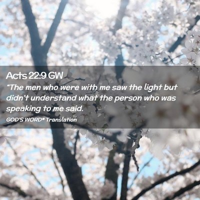 Picture 02 - Acts 22:9 GW - “The men who were with me saw the light but - Bible Verse Picture