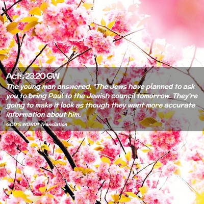 Picture 02 - Acts 23:20 GW - The young man answered, “The Jews have planned - Bible Verse Picture
