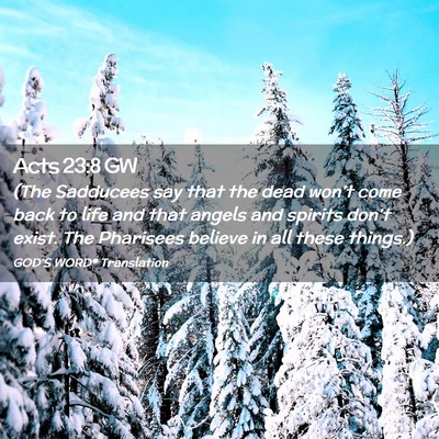 Picture 02 - Acts 23:8 GW - (The Sadducees say that the dead won’t come - Bible Verse Picture