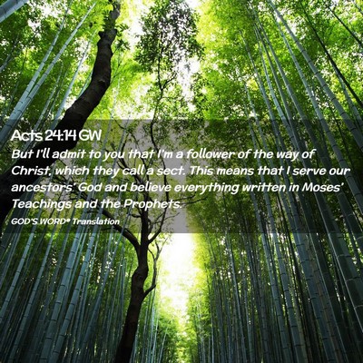 Picture 02 - Acts 24:14 GW - But I’ll admit to you that I’m a follower of - Bible Verse Picture