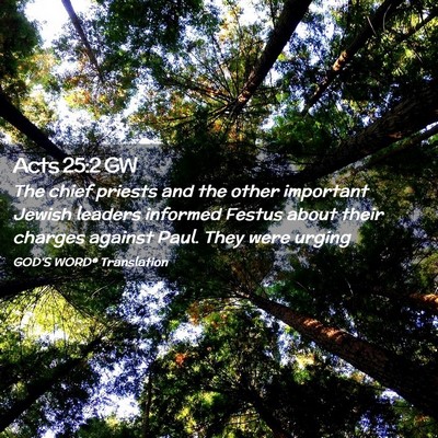 Picture 02 - Acts 25:2 GW - The chief priests and the other important Jewish - Bible Verse Picture