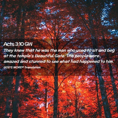 Picture 02 - Acts 3:10 GW - They knew that he was the man who used to sit and - Bible Verse Picture