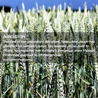 Picture 02 - Acts 3:13 GW - The God of our ancestors Abraham, Isaac, and - Bible Verse Picture