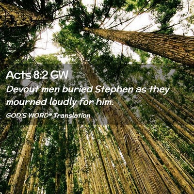 Picture 02 - Acts 8:2 GW - Devout men buried Stephen as they mourned loudly - Bible Verse Picture