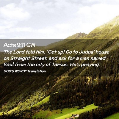 Picture 02 - Acts 9:11 GW - The Lord told him, “Get up! Go to Judas’ - Bible Verse Picture
