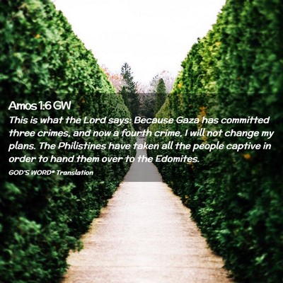 Picture 02 - Amos 1:6 GW - This is what the Lord says: Because Gaza has - Bible Verse Picture