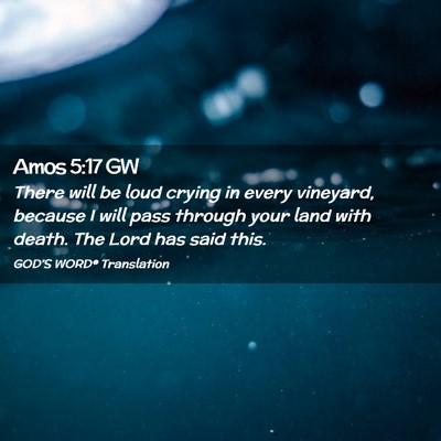 Picture 02 - Amos 5:17 GW - There will be loud crying in every vineyard, - Bible Verse Picture