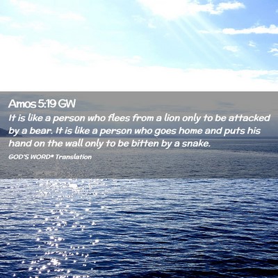Picture 02 - Amos 5:19 GW - It is like a person who flees from a lion only to - Bible Verse Picture