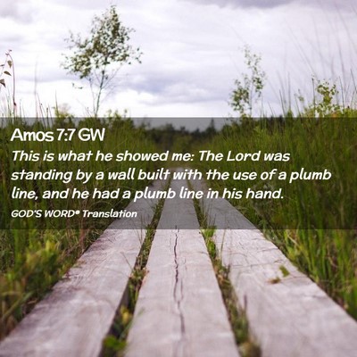 Picture 02 - Amos 7:7 GW - This is what he showed me: The Lord was standing - Bible Verse Picture