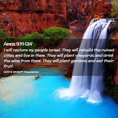 Picture 02 - Amos 9:14 GW - I will restore my people Israel. They will - Bible Verse Picture