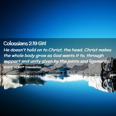 Picture 02 - Colossians 2:19 GW - He doesn’t hold on to Christ, the head. Christ - Bible Verse Picture
