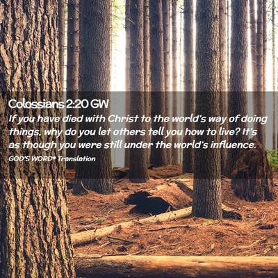 Picture 02 - Colossians 2:20 GW - If you have died with Christ to the world’s way - Bible Verse Picture