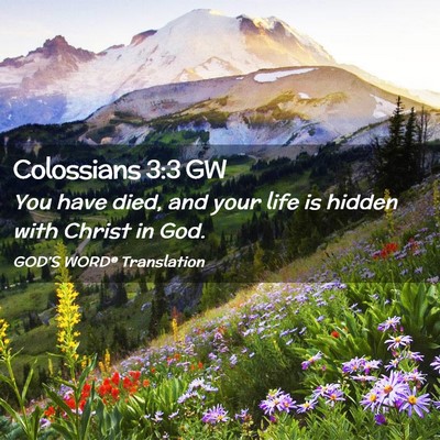Picture 02 - Colossians 3:3 GW - You have died, and your life is hidden with - Bible Verse Picture