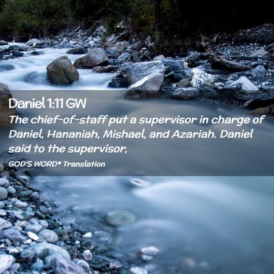 Picture 02 - Daniel 1:11 GW - The chief-of-staff put a supervisor in charge of - Bible Verse Picture