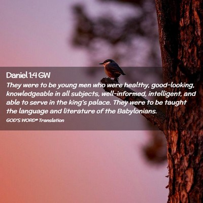 Picture 02 - Daniel 1:4 GW - They were to be young men who were healthy, - Bible Verse Picture