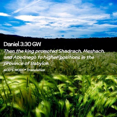 Picture 02 - Daniel 3:30 GW - Then the king promoted Shadrach, Meshach, and - Bible Verse Picture