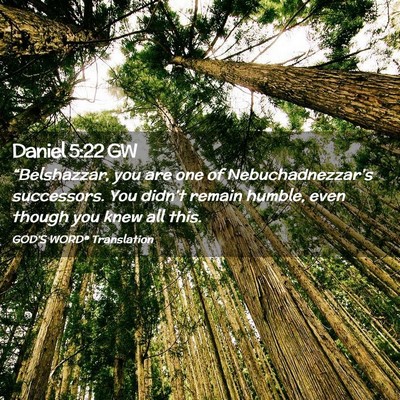 Picture 02 - Daniel 5:22 GW - “Belshazzar, you are one of Nebuchadnezzar’s - Bible Verse Picture
