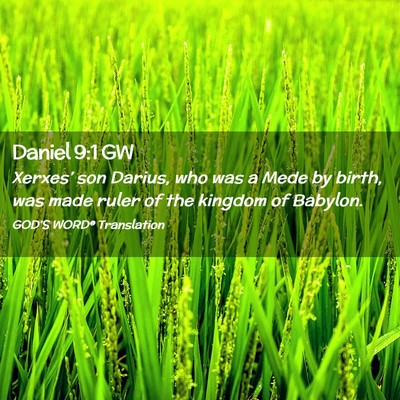 Picture 02 - Daniel 9:1 GW - Xerxes’ son Darius, who was a Mede by birth, - Bible Verse Picture