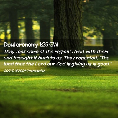 Picture 02 - Deuteronomy 1:25 GW - They took some of the region’s fruit with them - Bible Verse Picture