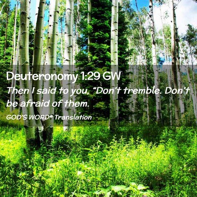 Picture 02 - Deuteronomy 1:29 GW - Then I said to you, “Don’t tremble. Don’t - Bible Verse Picture
