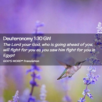 Picture 02 - Deuteronomy 1:30 GW - The Lord your God, who is going ahead of you, - Bible Verse Picture