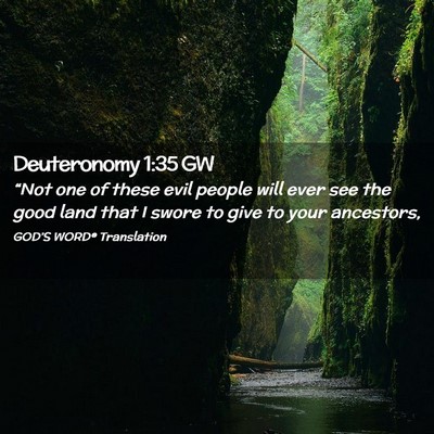 Picture 02 - Deuteronomy 1:35 GW - “Not one of these evil people will ever see the - Bible Verse Picture