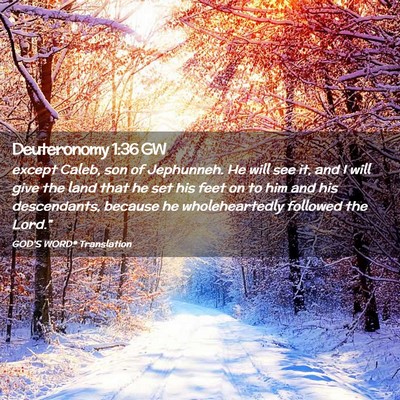 Picture 02 - Deuteronomy 1:36 GW - except Caleb, son of Jephunneh. He will see it, - Bible Verse Picture