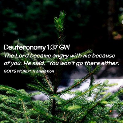 Picture 02 - Deuteronomy 1:37 GW - The Lord became angry with me because of you. He - Bible Verse Picture
