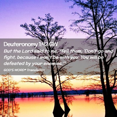 Picture 02 - Deuteronomy 1:42 GW - But the Lord said to me, “Tell them, ‘Don’t - Bible Verse Picture