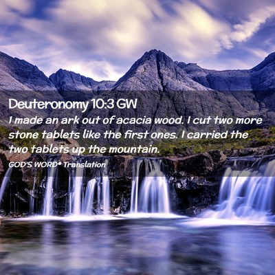 Picture 02 - Deuteronomy 10:3 GW - I made an ark out of acacia wood. I cut two more - Bible Verse Picture