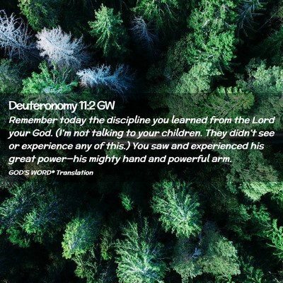 Picture 02 - Deuteronomy 11:2 GW - Remember today the discipline you learned from - Bible Verse Picture