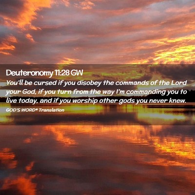 Picture 02 - Deuteronomy 11:28 GW - You’ll be cursed if you disobey the commands of - Bible Verse Picture